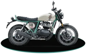 Bear 650